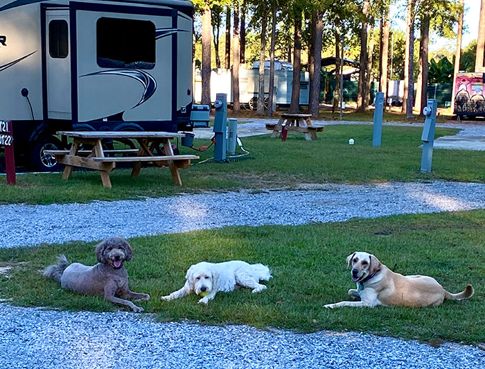 Pet-Friendly RV Park at Vacay Village of Pensacola in Pace, FL