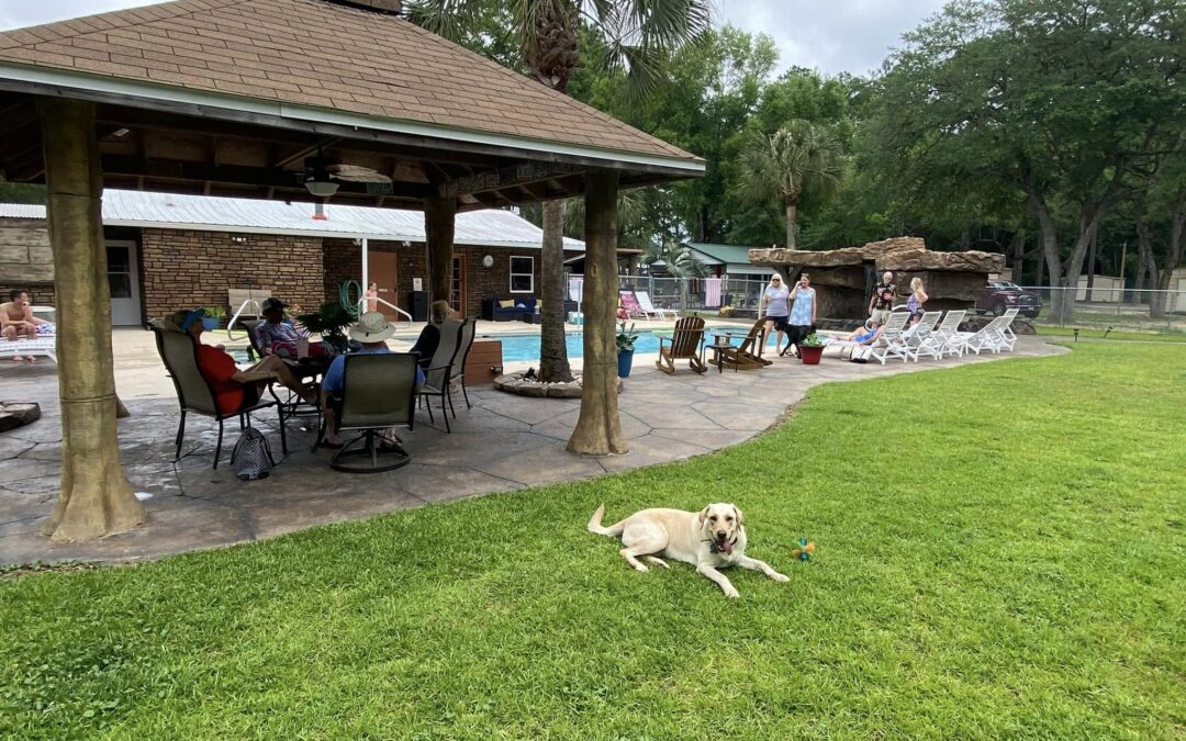 How to Choose a Pet-Friendly RV Park for an Extended Stay