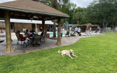How to Choose a Pet-Friendly RV Park for an Extended Stay